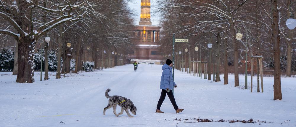 Eine Frau geht mit ihrem Hund vor der Kulisse der Siegessäule im verschneiten Tiergarten spazieren.
