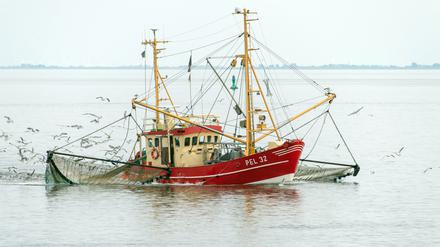 Erhalten die Fischer weniger Geld für den Umbau der Flotten?
