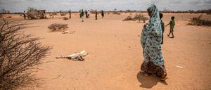 Dürre in Somalia: Ein Kind passiert den Leichnam einer verendeten Ziege. 