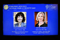 Die Verkündung: Der Nobelpreis geht an Emmanuelle Charpentier und Jennifer Doudna. Foto: Imago