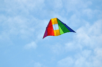 Ein Drachen mit Regenbogenfarben (Symbolbild) Foto: IMAGO/blickwinkel