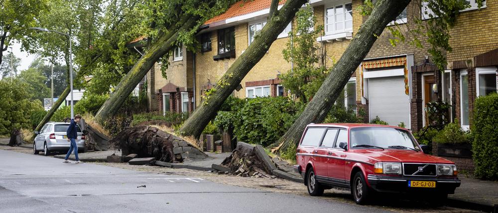 Vier Bäume sind in Haarlem auf ein Haus gefallen, „Poly“ ist schuld.