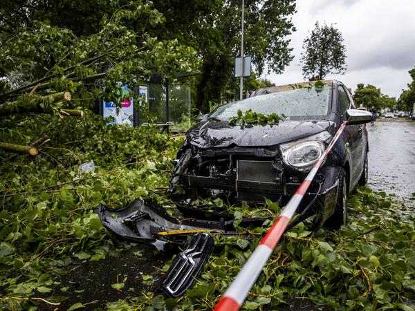 Ein umgestürzter Baum auf einem Auto in Haarlem.