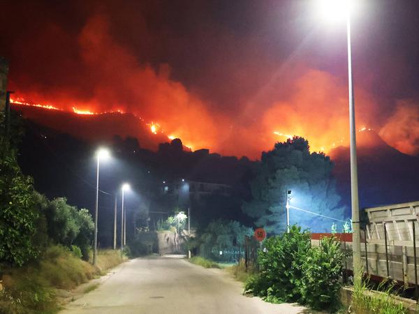 In Borgetto nahe der sizilianischen Hauptstadt Palermo erreichten die Flammen am 25. Juli auch dichtbesiedelte Wohngebiete.