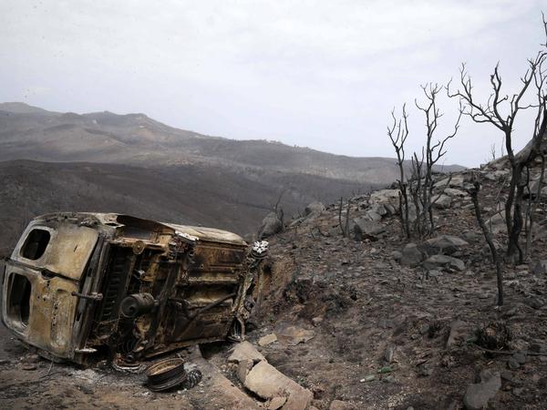 In der Region Bejaia in Algerien haben die Waldbrände ein Bild der Verwüstung hinterlassen. 