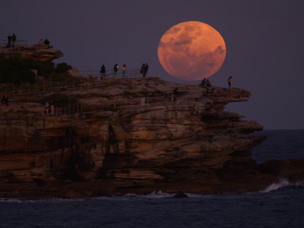 Der Supermond am 31. August 2023 über Bondi Beach (Sydney, Australien).