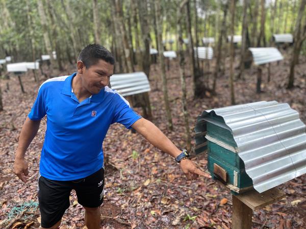 50 Bienen-Kolonie brauchen Imker wie Fabio Pérez, damit ihr Ertrag fünf Familien in seinem Dorf ernähren kann.