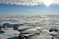 Über der Arktis wurden in den vergangenen Wochen Temperaturen gemessen, die 20 Grad über den üblichen Werten liegen. Foto: Ulf Mauder/dpa
