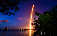 Eine Falcon 9-Rakete hat vom Kennedy Space Center aus erstmals vier Privatpersonen ins All gebracht, Foto: Md/Florida Today via AP/dpa