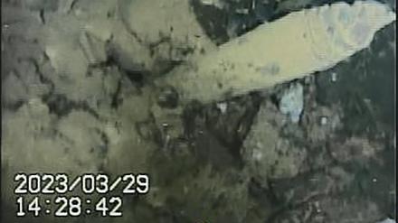 Diese neue Unterwasseraufnahme stammt aus einem Reaktor von Fukushima.