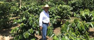 Der Kaffeebauer José de Leon steht auf einer Plantage im guatemaltekischen Department San Marcos. 