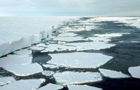 In der Antarktis könnte es in den nächsten Jahrzehnten eine verheerende Kettenreaktion geben. Foto: dpa/ Ralph Timmermann