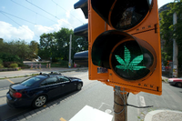 Grünes Licht für Kiffer? Cannabis-Patienten dürfen weiter Auto fahren. Foto: Peter Endig/dpa