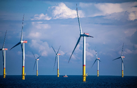 Klimaschützer auf hoher See: Ein Windpark in der Ostsee. Foto: dpa