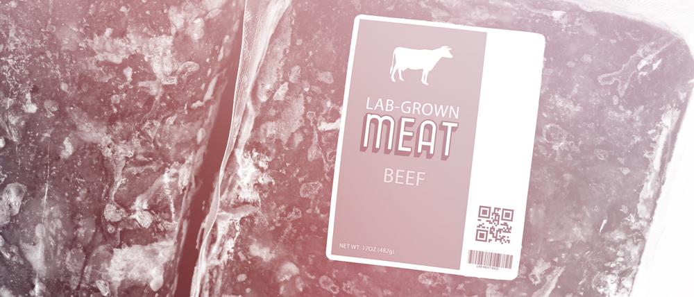 Konzept für im Labor gezüchtetes Fleisch für die künstliche Herstellung von Fleisch.