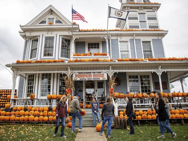 Das Pumpkin House (Kürbishaus) von Kenova (USA) wird alljährlich an Halloween mit unzähligen Kürbissen dekoriert. (Archivbild vom 26. Oktober 2022). 