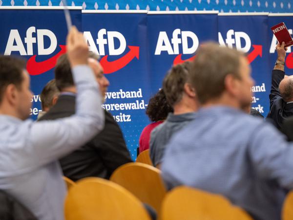 Die AfD hielt am Wochenende ihren Landesparteitag in Jüterbog ab. 