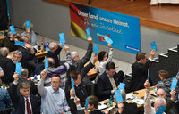 Abgeordnete wählen auf dem Landesparteitag der AfD Sachsen ihren neuen Landesvorsitzenden. Foto: Matthias Rietschel/ dpa