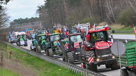 17.03.2024, Polen, Slubice: Landwirte aus Polen sind auf der Autostrada A2 (Europastraße 30) mit ihren Fahrzeugen in Richtung deutsch-polnische Grenze unterwegs. Bauernproteste haben zu erheblichen Verkehrsbehinderungen im Grenzgebiet um Frankfurt (Oder) geführt. Die seit Wochen anhaltenden Proteste polnischer Bauern richten sich gegen die EU-Agrarpolitik, aber auch gegen die Einfuhr günstiger Agrarprodukte aus der Ukraine. Foto: Patrick Pleul/dpa +++ dpa-Bildfunk +++