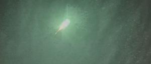 Das Videostandbild zeigt den im Süden Deutschlands gesichteten Meteoroiden (Bestmögliche Bildqualität). 