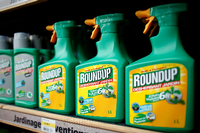 Monsanto steht vor allem wegen glyphosathaltiger Unkrautvernichtungsmittel in der Kritik. Foto: REUTERS/Charles Platiau/File Photo