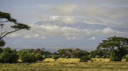 Der Kilimandscharo.