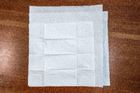 Breiten Sie ein Papiertaschentuch aus und legen Sie es auf die beiden ersten Blätter. Das Papiertaschentuch wird später die Innenseite Ihrer Schutzmaske sein. Foto: Peter von Stamm