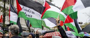Eine pro-palästinensische Demonstration in Düsseldorf.