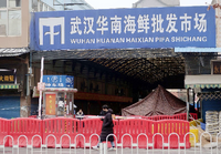 Der Fischmarkt in Wuhan. Hier, so glauben Experten, begann die Coronavirus-Pandemie Foto: imago images/Kyodo News