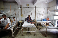 Dengue-Fieber in Indien