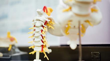 Schmerzen an der Wirbelsäule können auf Osteoporose hindeuten. Ein neues Ultraschallverfahren soll frühere Prävention ermöglichen.