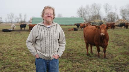 Bio-Landwirt Andreas Bangert aus Pessin im Havelland hält seine Rinder auf wiedervernässtem Moor.
