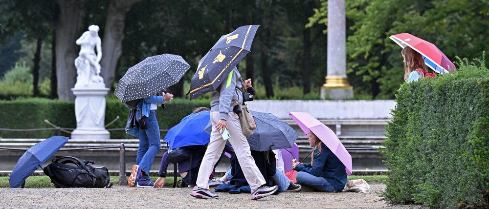 2023 in Potsdam oft im Einsatz: Der Regenschirm. 