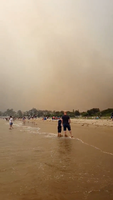 Menschen am Strand von Batemans Bay in Australien Foto: @LAPPINGTHEISLAND via REUTERS