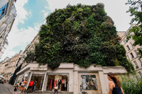 Paris bepflanzt Fassaden, gegen Hitze und Klimawandel. Foto: Alain Jocard/AFP