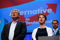 Die AfD-Vorsitzende Frauke Petry und AfD-Bundessprecher Jörg Meuthen singen am Ende des Parteitages in Stuttgart. Foto: Reuters