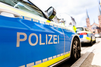 Ein Baum ist in Freiburg samt Wurzel umgestürzt und hat einen Mann und seinen Hund erschlagen, teilt die Polizei mit. Foto: Philipp von Ditfurth/dpa