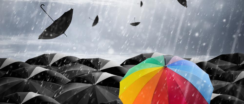 Data protection, which protects the umbrella in a storm.