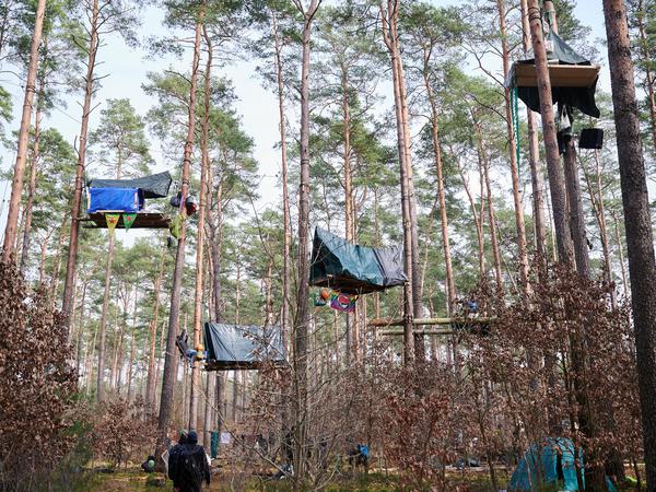 Bei einer Protestaktion gegen die Erweiterung der Tesla-Autofabrik hängen Baumhäuser in den Bäumen. 