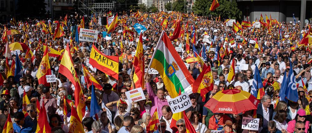Die Demonstranten folgten dem Aufruf der konservativen Volkspartei (PP) von Oppositionsführer Alberto Núñez Feijóo und versammelten sich am Sonntag in Madrid auf dem Platz Felipe II.