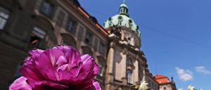 Die Stadt Potsdam ehrt Initiativen und Personen, die sich um die Integration von Geflüchteten verdient machen.