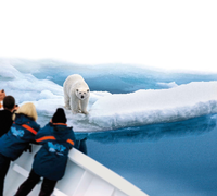 Auge in Auge mit dem Eisbär, dem der Mensch mit seinem Verhalten die Lebensgrundlagen entzieht. Foto: picture alliance / dpa-tmn