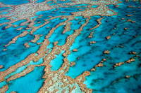 Riffe und Atolle am Great Barrier Reef vor Australiens Küste Foto: Imago/McPhoto