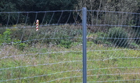Schutzzaun: Der Zaun an der polnischen Grenze soll verhindern, dass Wildschweine aus Polen nach Deutschland kommen. Foto: dpa