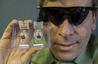US-Unternehmen stoppt bionische Augen-Technologie