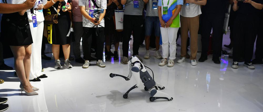 Vorstellung eines intelligenten Roboterhunds während einer internationalen Digitalkonferenz in China. Die Entwicklung künstlicher Intelligenz macht rasante Fortschritte.