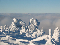 Über den Wolken befinden sich naturell geformte Schneeskulpturen. Foto: Martin Hildebrandt
