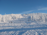 Die steile Abfahrt "Lolobrygida" eingedeckt in Schnee. Foto: Martin Hildebrandt