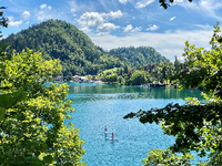 Diesen Sommer ist es außergewöhnlich ruhig auf dem See von Bled. Foto: Ulf Lippitz