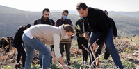 Die trügerische Idylle der Herrscher. Asma und Baschar al Assad pflanzen Bäume. Foto: Reuters